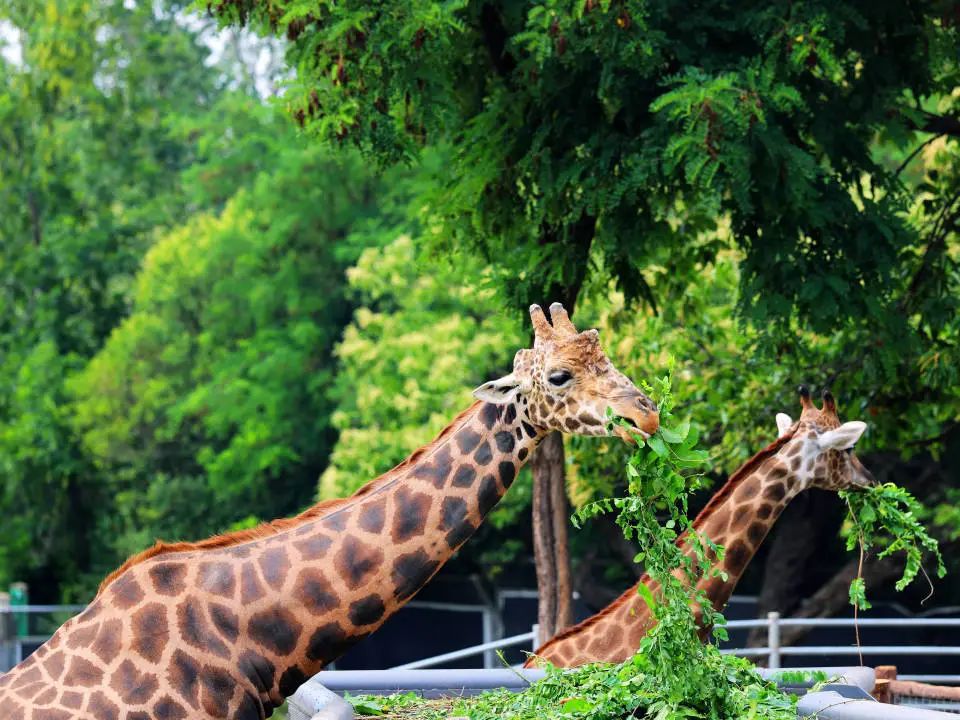 640 (9).jpg 640 (9).jpg